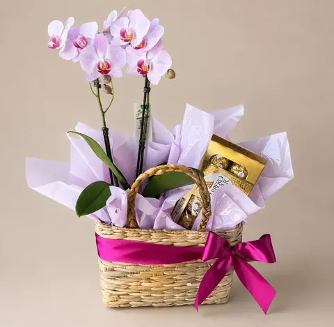 Orquídea Phalaenopsis lilás na bolsa de palha com Ferrero Rocher